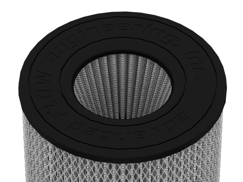Photo - Close Up