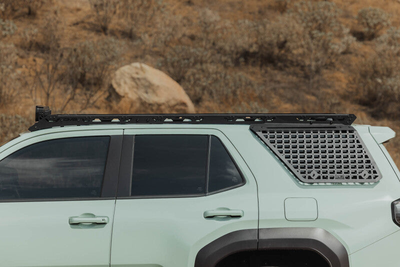 Photo - Close Up