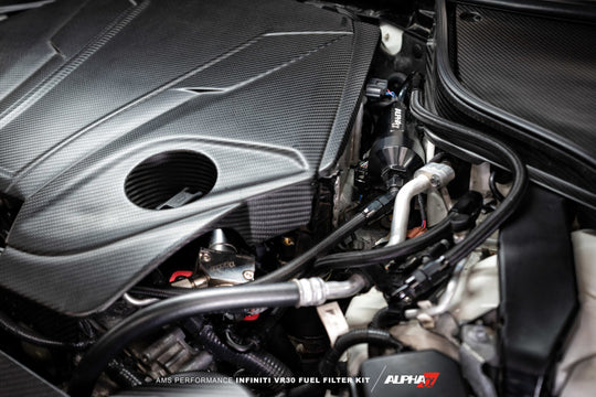 Photo - Mounted