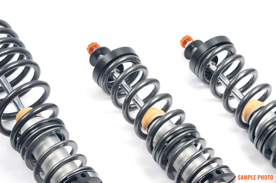 AST 91-95 Honda Civic EG2/EG3/EG4/EG5/EG6/EG8/EG9 5100 Series Coilovers