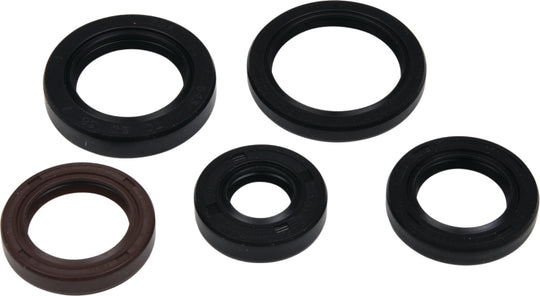 Vertex Gaskets 05-23 Polaris Phoenix 200 Oil Seal Kit