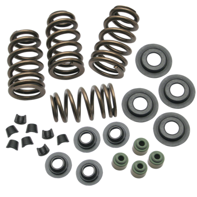 S&amp;S Cycle 04-19 XL Valve Spring Kit - .650in