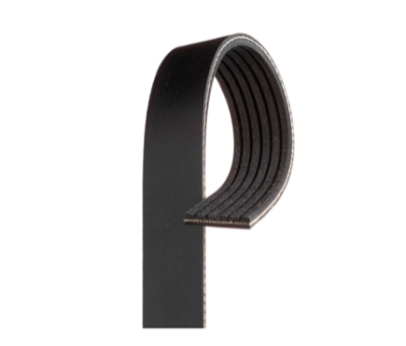 Gates Double Sided Micro-V Belt - 80.94in Length 0.807in Width 6 Ribs