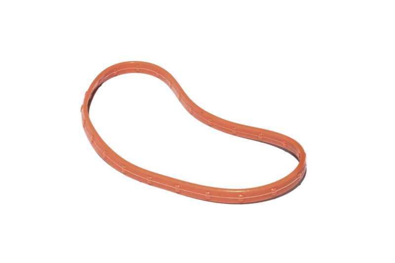 FAST O-Ring Seal For 102MM Throttle