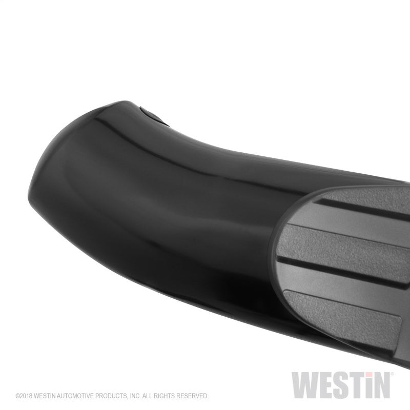 Westin 2019 Ram 1500 Crew Cab (Excl. 1500 Classic) PRO TRAXX 4 Oval Nerf Step Bars - SS