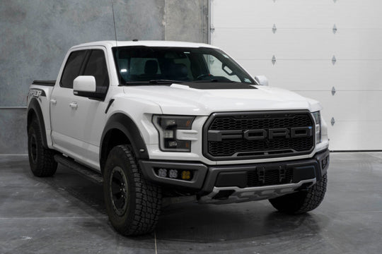 Diode Dynamics 17-20 Ford Raptor SS3 LED Fog Light Kit - White Max