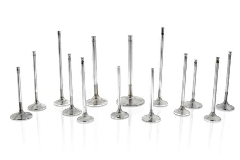 Ferrea Chevy SB 1.6in 11/32 5.300in 0.25in 14 Deg S-Flo Competition Plus Exhaust Valve - Set of 8