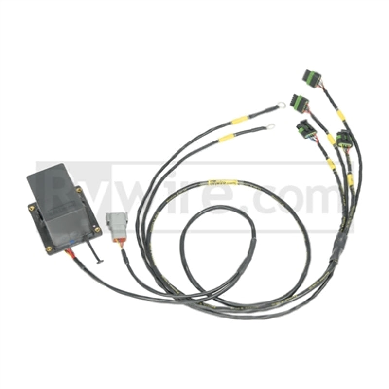 Rywire IGBT (AEM/IGN-1A) Coil Sub-Harness for 2 Rotor Engines