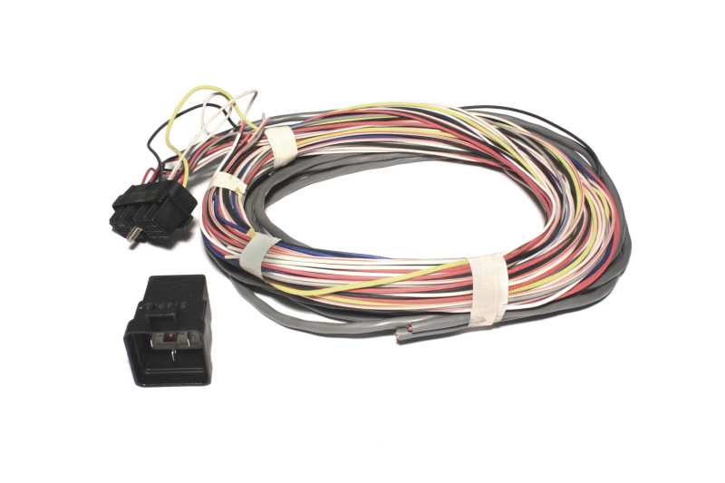 FAST Wiring Harness FAST 4-Cyl