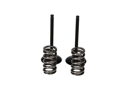 ProX 07-22 RM-Z250 Steel Exhaust Valve/Spring Kit