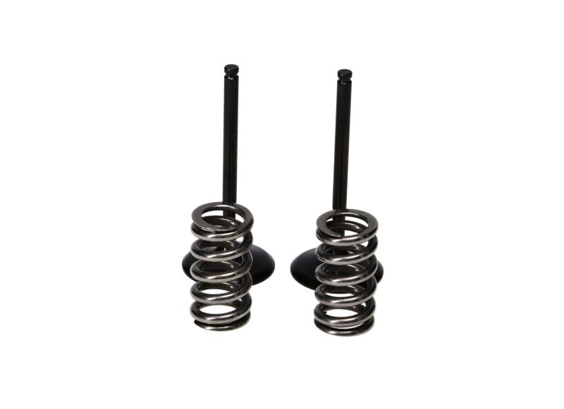 ProX 04-07 CRF250R/CRF250X Steel Intake Valve/Spring Kit