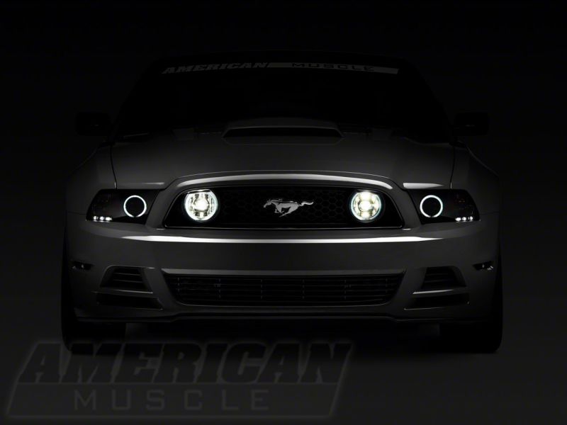 Raxiom 13-14 Ford Mustang GT CCFL Halo Fog Lights- Chrome