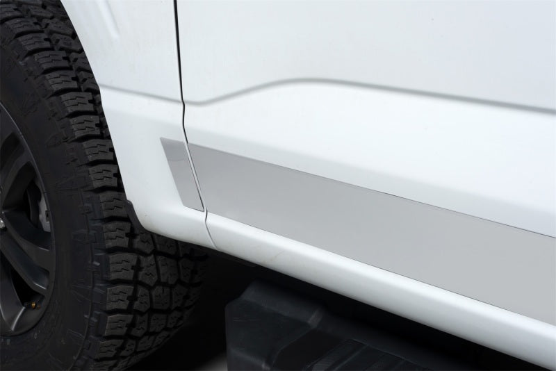 Putco 2021 Ford F-150 Reg Cab 6.5ft Short Box Stainless Steel Rocker Panels (4.25in Tall 10pcs)